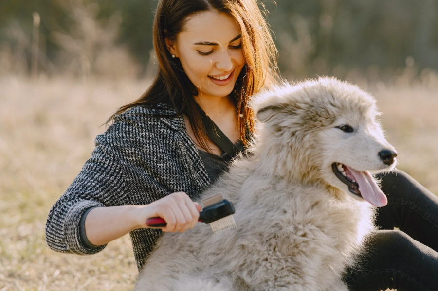 Como difere la Eficiencia entre un Peine sin Mango y uno con Mango
